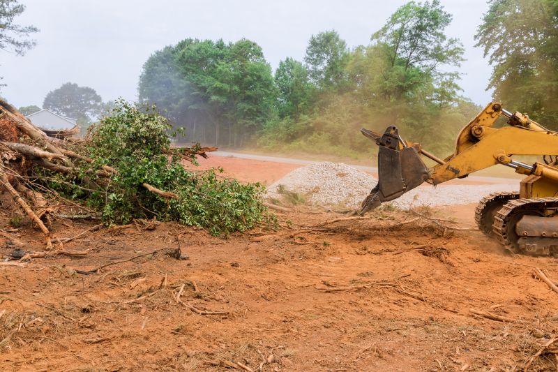Easement Land Clearing in Marietta, GA