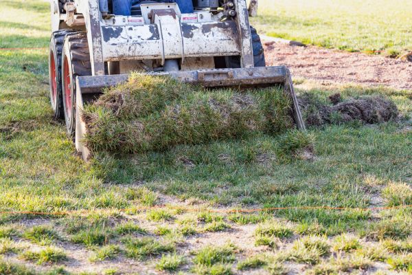 Bulldozing Service