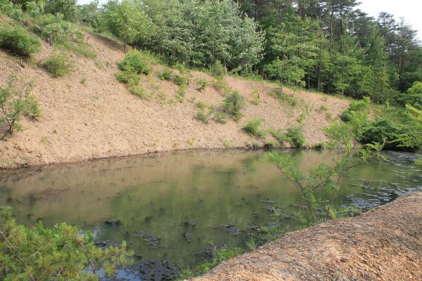 Erosion Control
