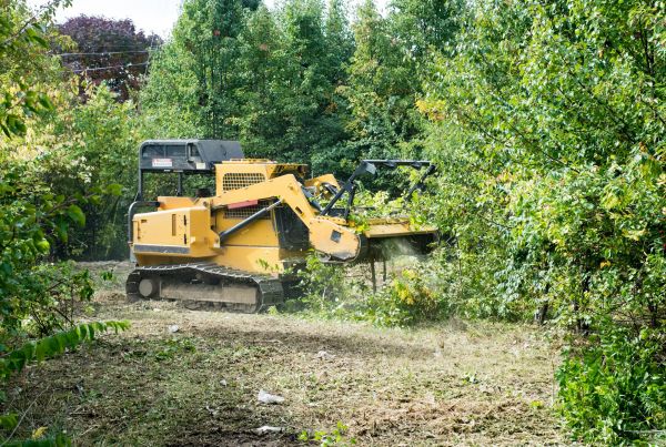 Parking Lot Land Clearing