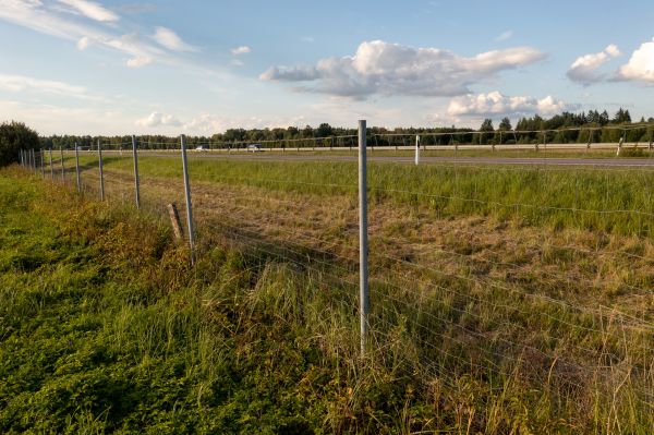Property Line Clearing - Property Line Clearing Charlotte, North Carolina