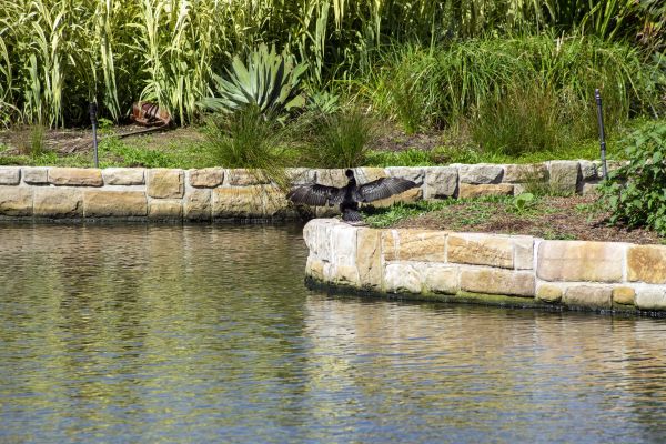 Pond Erosion Prevention - Pond Erosion Prevention Scottsdale, Arizona